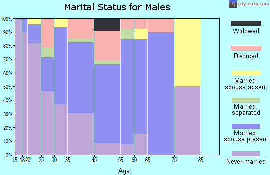 Cool Valley marital status for males