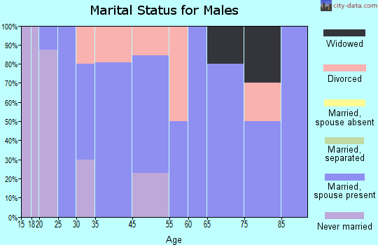 Craig marital status for males