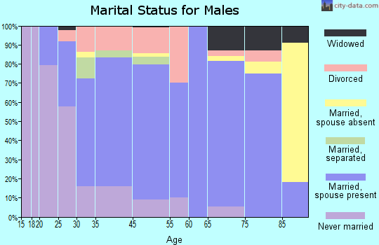 De Soto marital status for males
