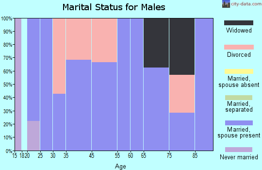 Dudley marital status for males