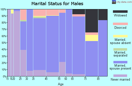 Ellisville marital status for males