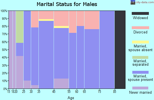 Dyer marital status for males