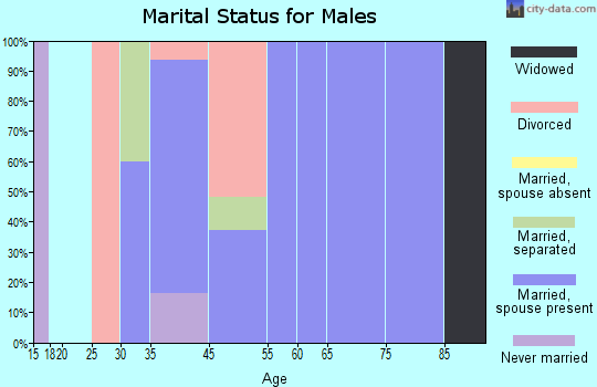 Excelsior Estates marital status for males