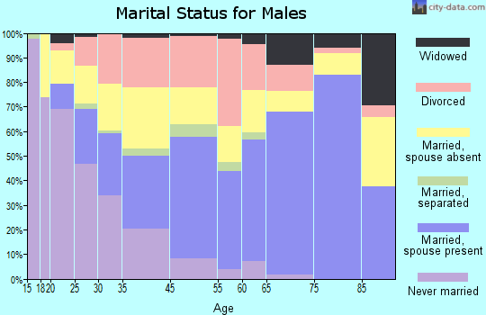 Farmington marital status for males