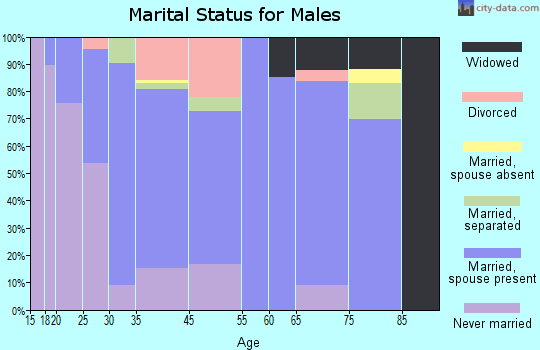 Glasgow Village marital status for males