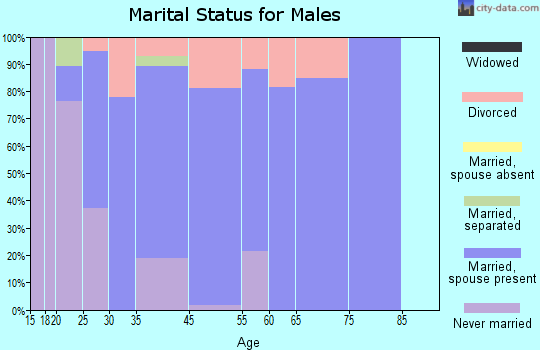 Gray Summit marital status for males