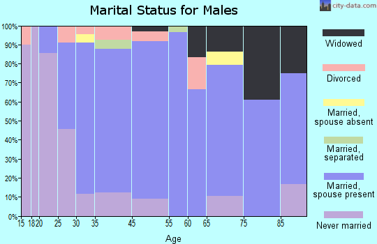 Elm Springs marital status for males