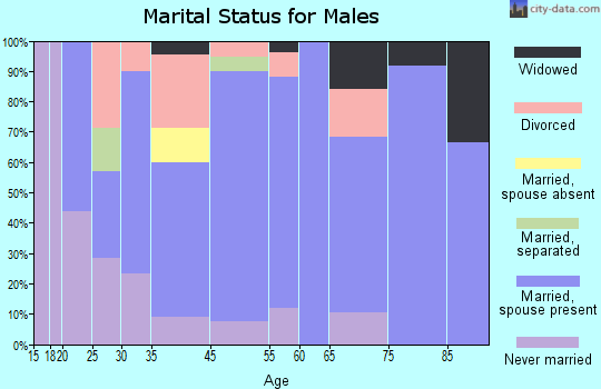 Hornersville marital status for males