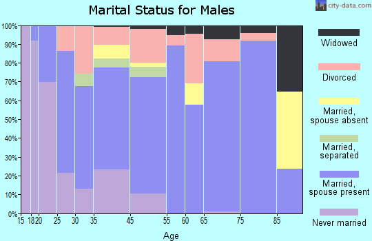 Houston marital status for males