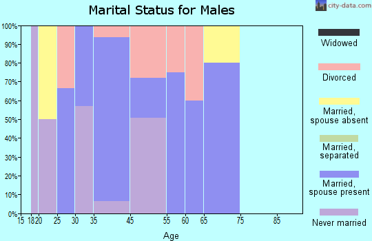 Houston Lake marital status for males