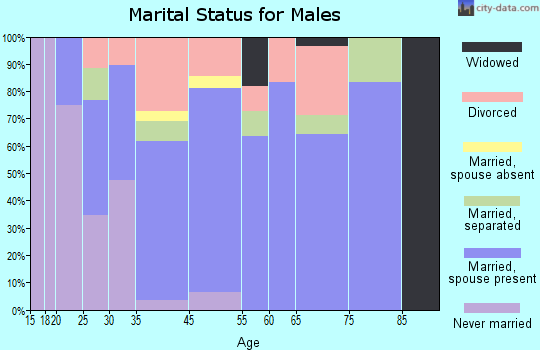Iron Mountain Lake marital status for males