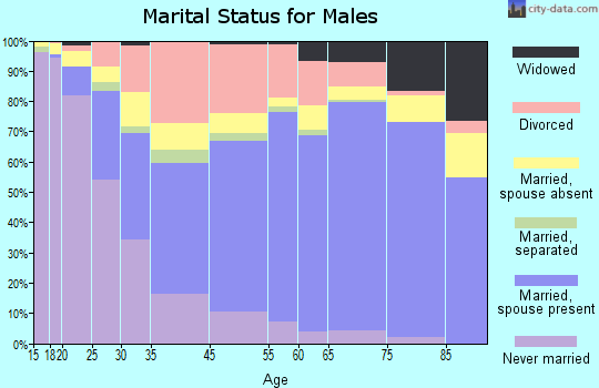 Jefferson City marital status for males