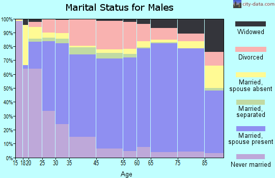 Joplin marital status for males