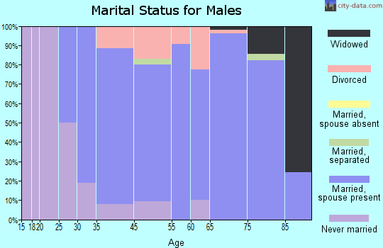 Kimberling City marital status for males