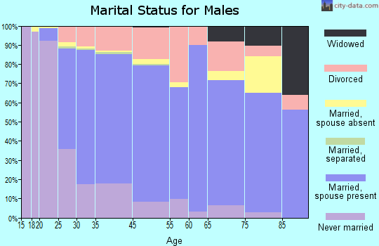 Kirksville marital status for males