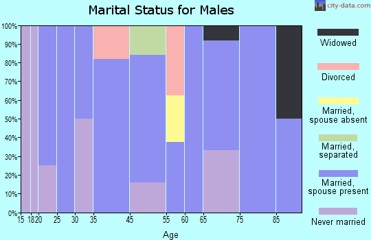 Knox City marital status for males