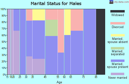 Lewis and Clark Village marital status for males