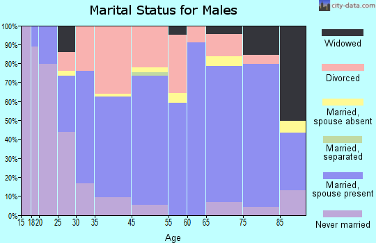 Macon marital status for males