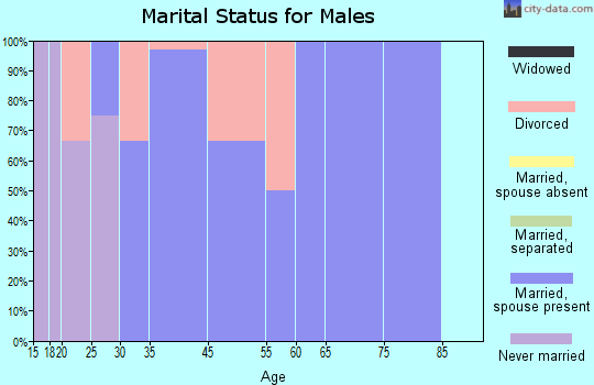Mayview marital status for males