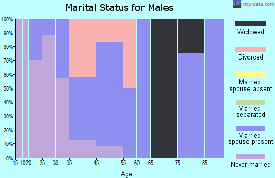 Mineral Point marital status for males