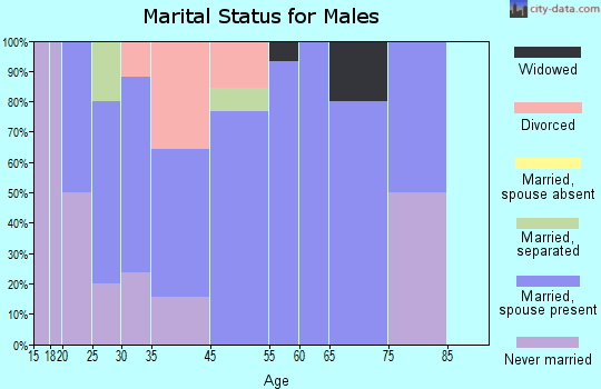 Neelyville marital status for males