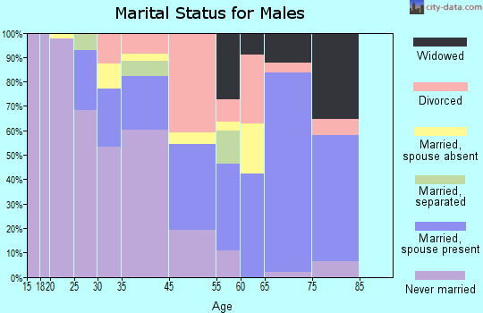 Pagedale marital status for males