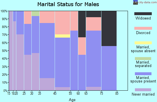 Pilot Knob marital status for males