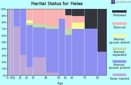 Pleasant Valley marital status for males