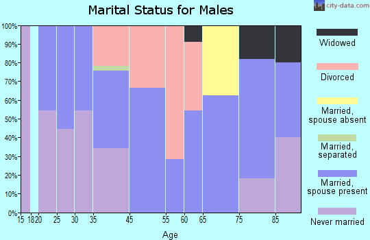 Raymondville marital status for males