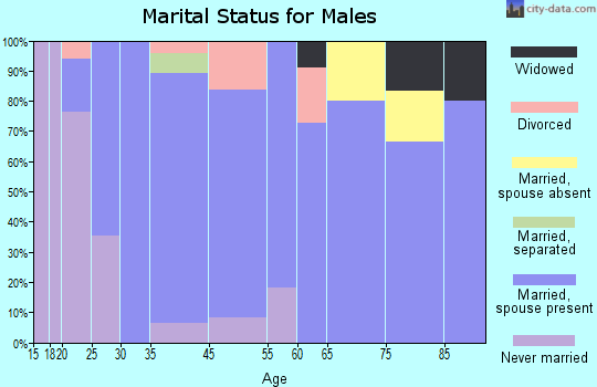 Russellville marital status for males