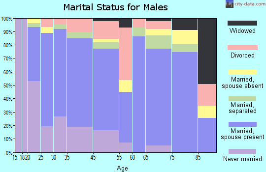 Salem marital status for males