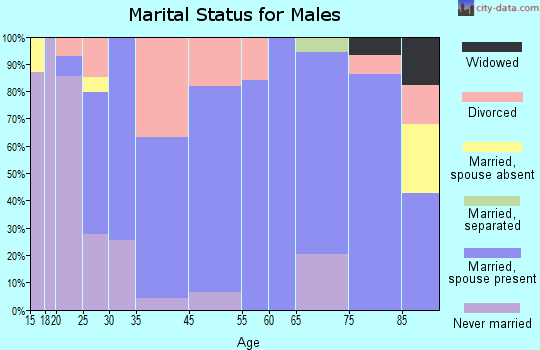 Shelbina marital status for males