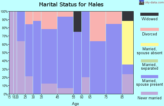 Sheldon marital status for males