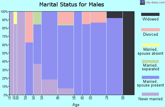 Silver Creek marital status for males