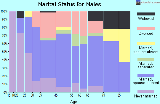 Slater marital status for males