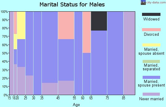 Stotts City marital status for males