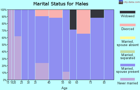 Summersville marital status for males