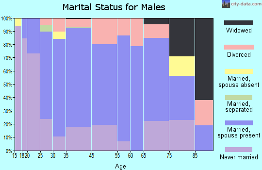 Sweet Springs marital status for males