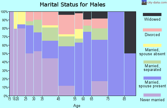 Velda City marital status for males