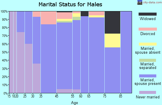 Village of Four Seasons marital status for males