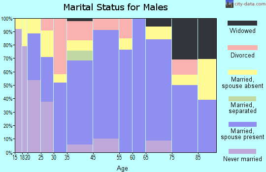 Waynesville marital status for males