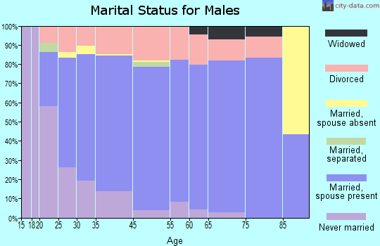 Webb City marital status for males