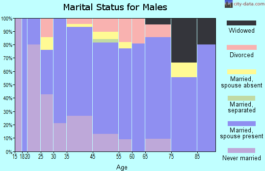 Wellington marital status for males