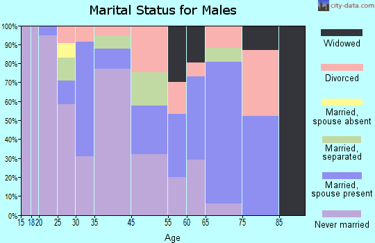 Wellston marital status for males