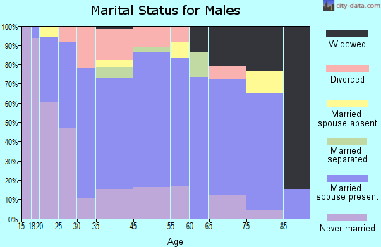 Wellsville marital status for males