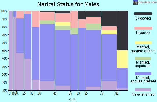 Willow Springs marital status for males