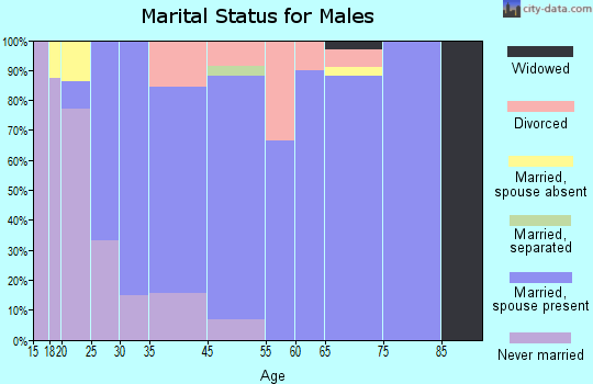 Woods Heights marital status for males