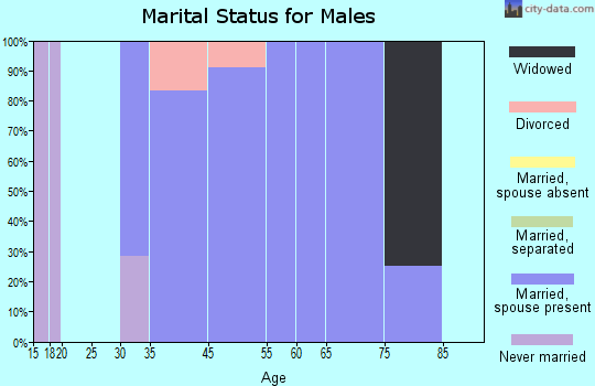 Beaver Creek marital status for males