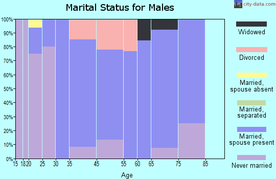 Belt marital status for males