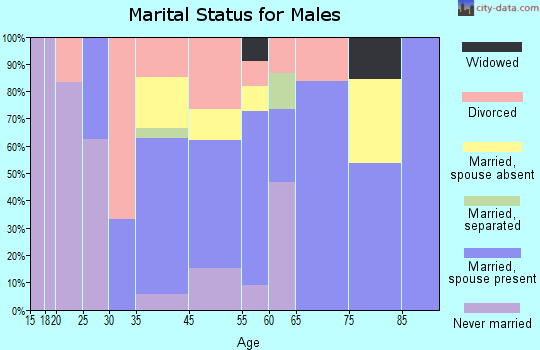Big Sandy marital status for males